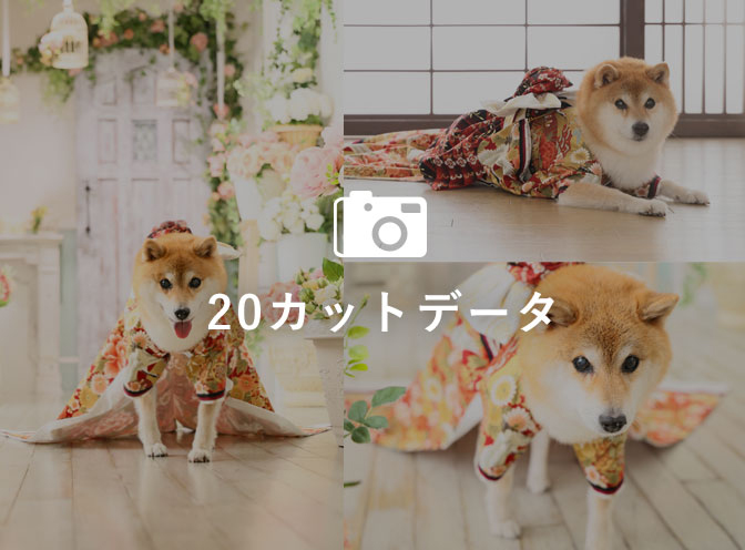 データ20カット